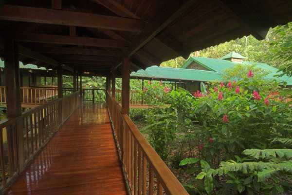 Selva Verde Lodge - Costa Rica - Cosmic Travel
