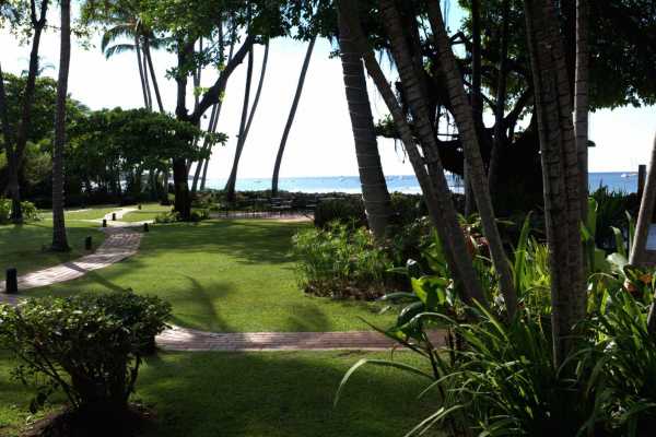 Tamarindo Diria Beach Resort - Costa Rica - Cosmic Travel